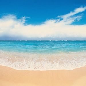 Meet your Posher, Sue